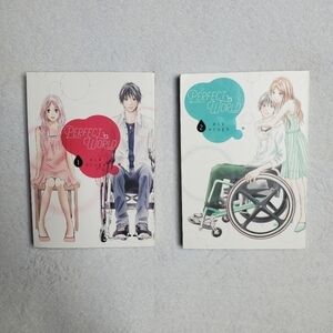 Perfect World Volumes 1 & 2 Manga Kodansha Shoujo Anime